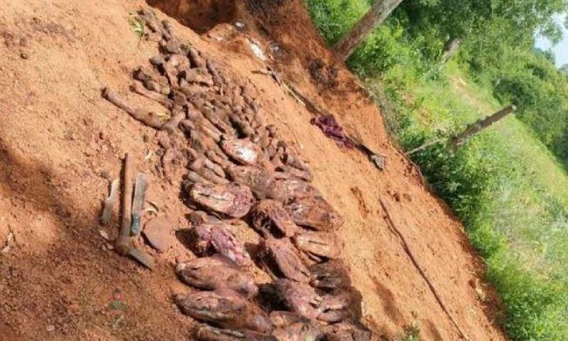 25 skinned donkey heads and several hooves of donkeys recovered from a pit within a homestead of one of the suspects.