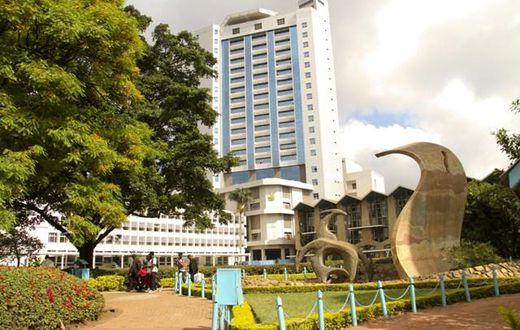 University of Nairobi (UoN)