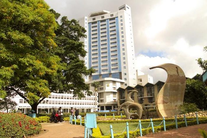 University of Nairobi (UoN)