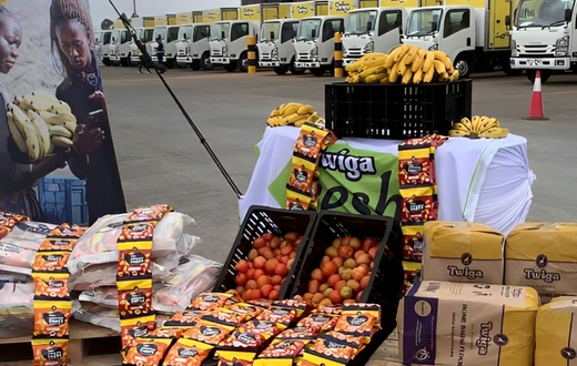 Twiga Foods to send more staff home in new wave of layoffs