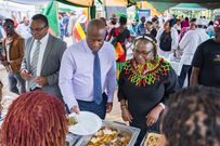 Participants during the Africa Day celebrations