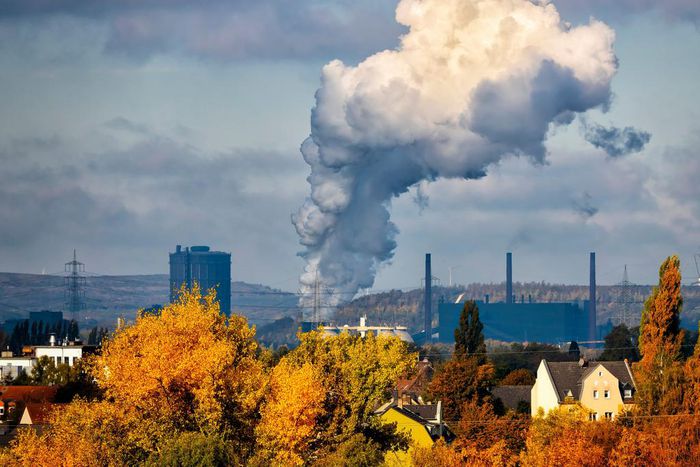 The carbon credit markets have become key to the race to net zero.edg3D/Getty Images