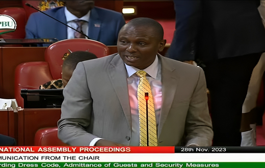 National Assembly Majority Leader Kimani Ichung'wa speaking in Parliament on November, 28, 2023