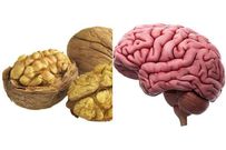 Can you see the resemblance? [Walnuts and Dried Fruits ]
