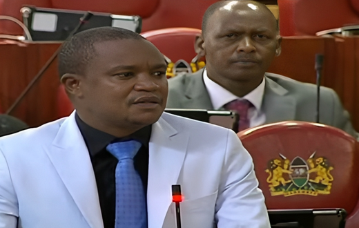 National Assembly Finance and Planning Committee Chairperson Kuria Kimani speaking in Parliament