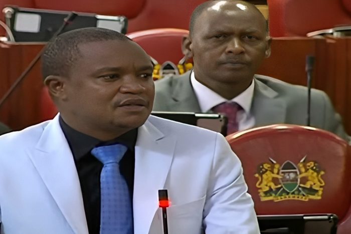 National Assembly Finance and Planning Committee Chairperson Kuria Kimani speaking in Parliament