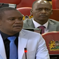 National Assembly Finance and Planning Committee Chairperson Kuria Kimani speaking in Parliament