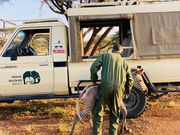 Kenya Wildlife Service officers rescue orphaned foal
