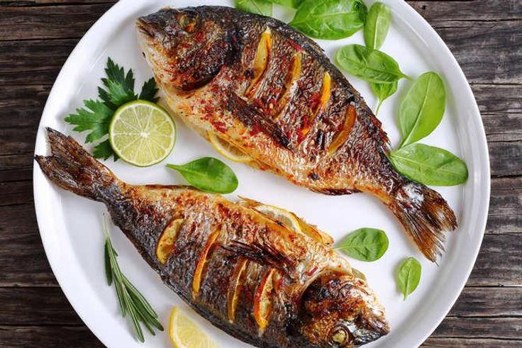 Fish (meconomictimes)
