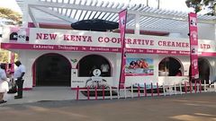 New KCC