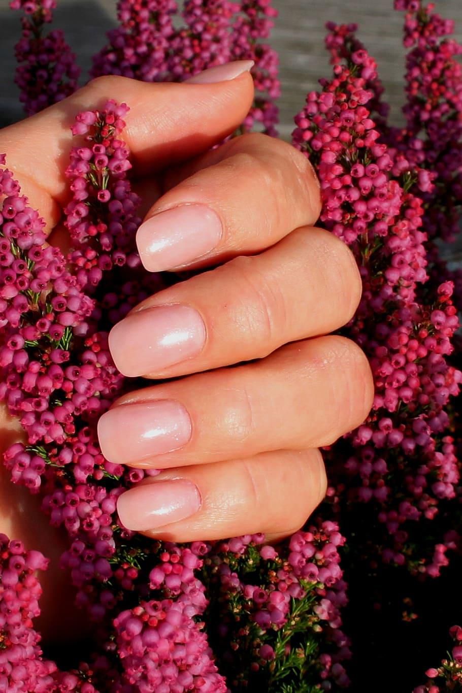 Nail polished nails