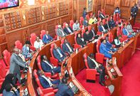 Senators in Parliament