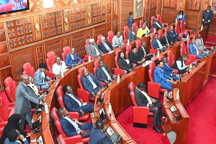 Senators in Parliament