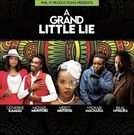 'Grand Little Lie' series cast