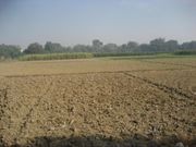 Tilled land