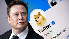 Twitter CEO Elon Musk