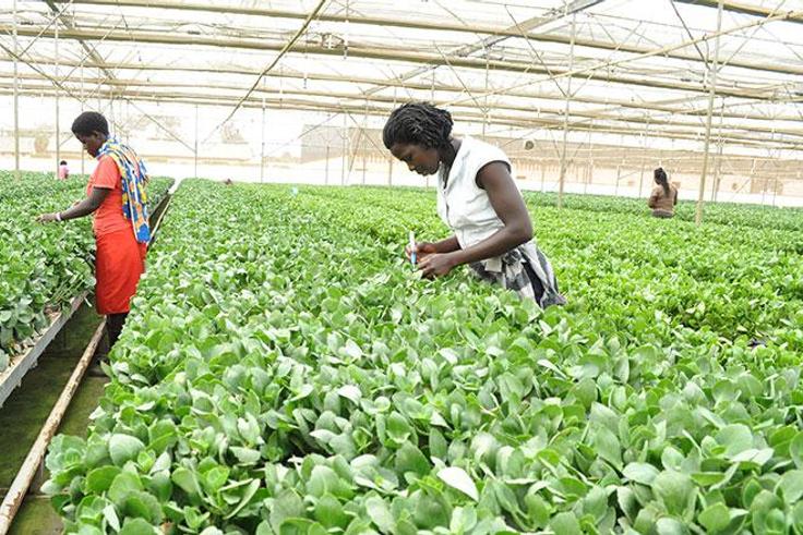 Uganda’s GDP growth hits 6.8% in first half of 2022/23 fiscal year