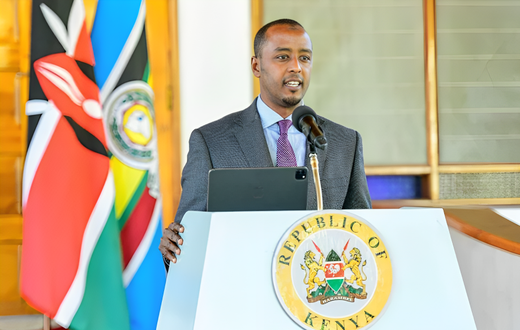 State House Spokesperson Hussein Mohamed