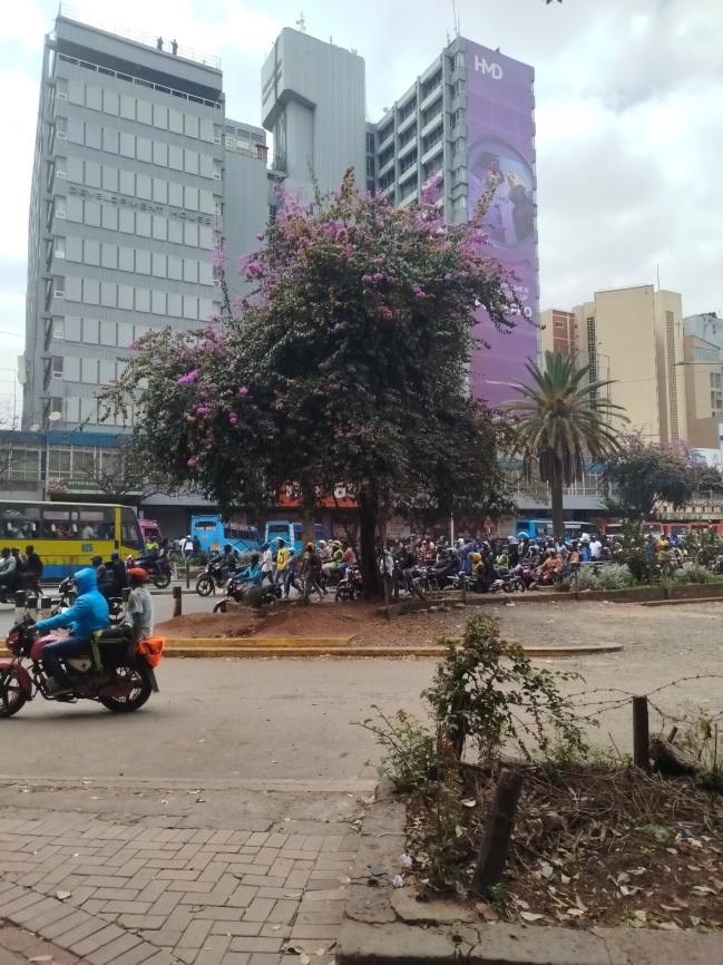 Dozens of pro-government boda boda riders take to Nairobi streets