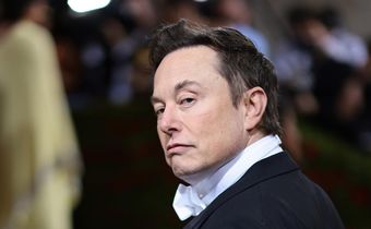Twitter owner Elon Musk.Dimitrios Kambouris/Getty Images