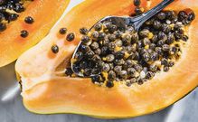 Papaya seeds [NDTV]