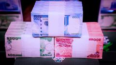 Nigeria's new naira notes