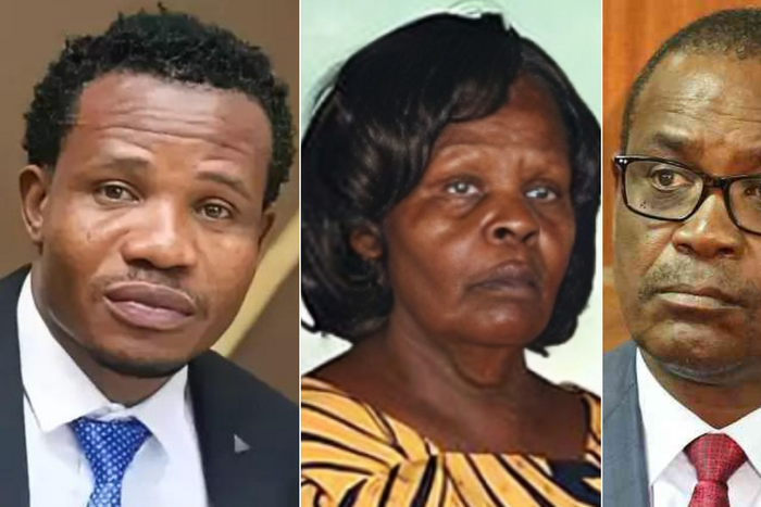 5 Kenyan Lawmakers captured on camera slapping others