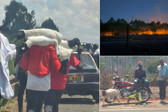 A collage of  people breaching the Northlands Farm linked to the Kenyatta family on March 27, 2023