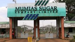 Mumias Sugar company