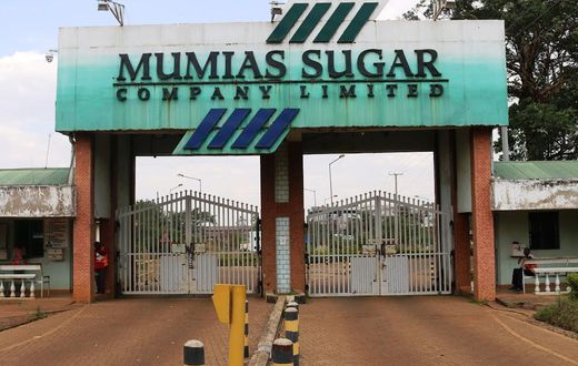 Mumias Sugar company