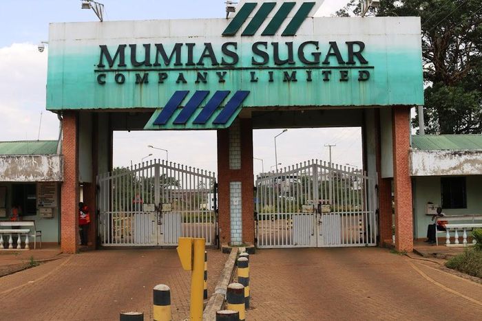 Mumias Sugar company