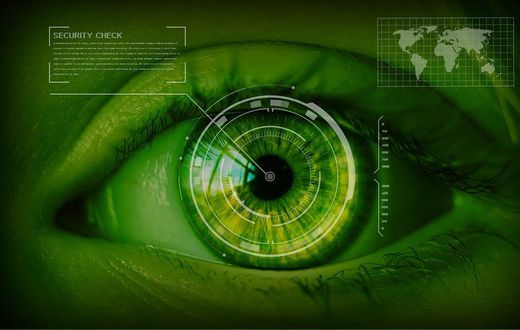Iris scan
