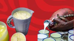 A collage of fermented milk, Maruranu and Murski