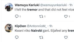 Kenyans on social media reported a tremor in Nairobi and surrounding areas