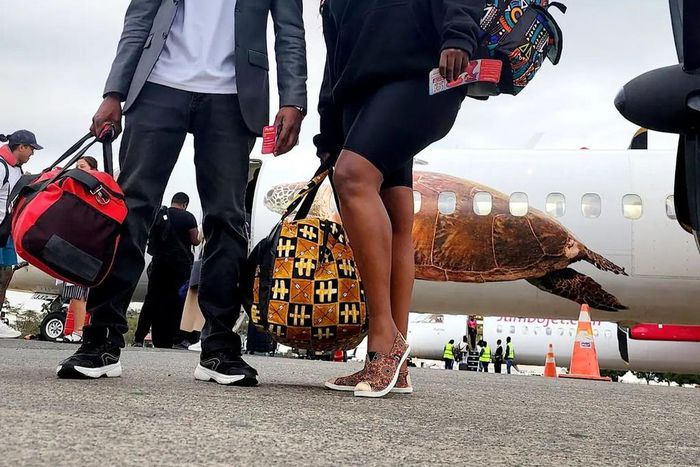 NTV News anchors Fridah Mwaka & Lofty Matambo