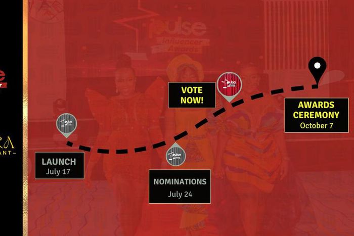 Vote Now! The 2023 Pulse Influencer Awards nominees announced [Full List]