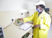 Mary Wanza Kakuzi Lab Technologist testing an avocado fruit