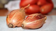 Shallots