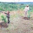 President William Ruto, First Lady Rachael Ruto leading the national tree planting day in Murang'a County on May 10, 2024