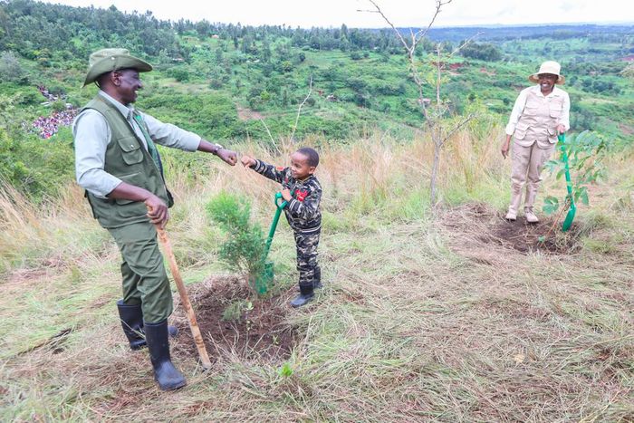 President William Ruto, First Lady Rachael Ruto leading the national tree planting day in Murang'a County on May 10, 2024