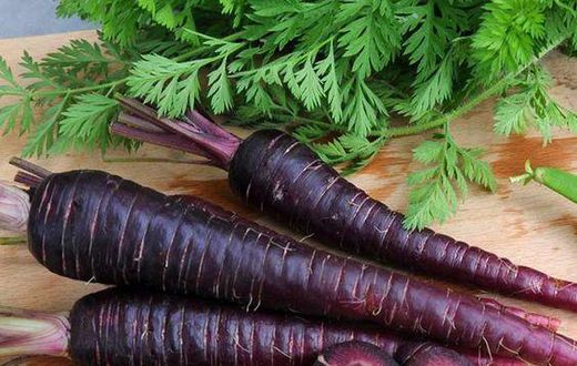 Carrots were once purple [Pinterest]