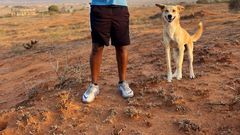 Human rights activist Boniface Mwangi