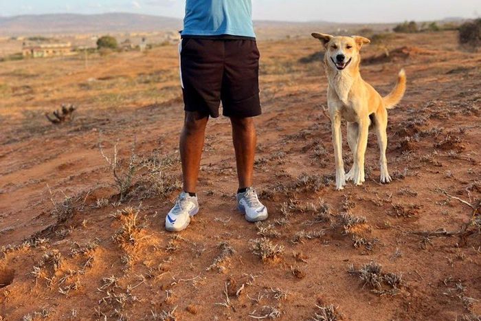 Human rights activist Boniface Mwangi