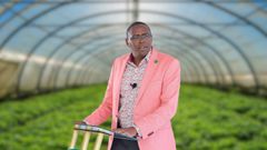 Optiven Limited CEO George Wachiuri