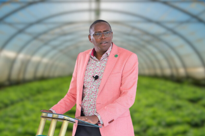 Optiven Limited CEO George Wachiuri