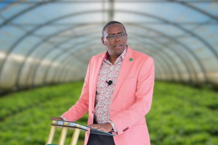 Optiven Limited CEO George Wachiuri