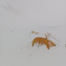 Last moments of Cheruiyot Kirui who has died trying to climb Mt Everest