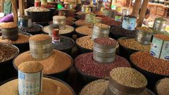 East Africa's grain market is set to thrive with new grant