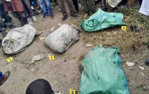 Mukuru Kwa Njenga horror: woman’s dream horrifying dream mutilated bodies & standoff