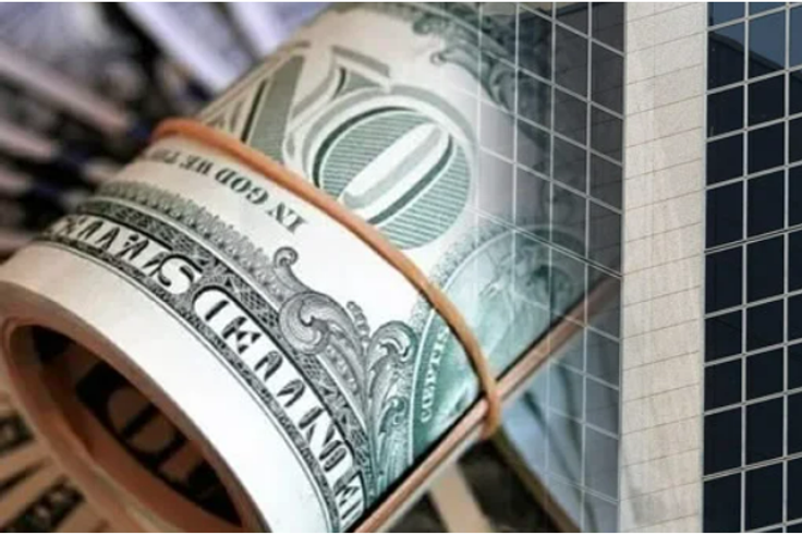 CBN urged to stop providing forex at official rate for Nigerian students abroad